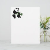Giant Panda (Standing Front)