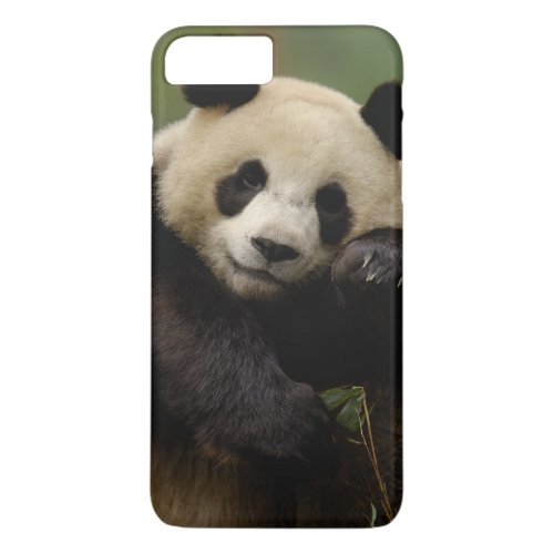 Giant panda Ailuropoda melanoleuca Family 4 iPhone 8 Plus7 Plus Case