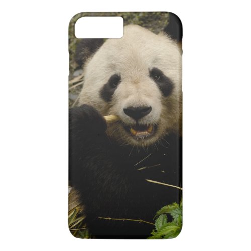 Giant panda Ailuropoda melanoleuca Family 5 iPhone 8 Plus7 Plus Case