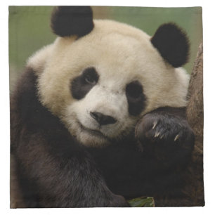 Giant panda Ailuropoda melanoleuca) Family Cloth Napkin