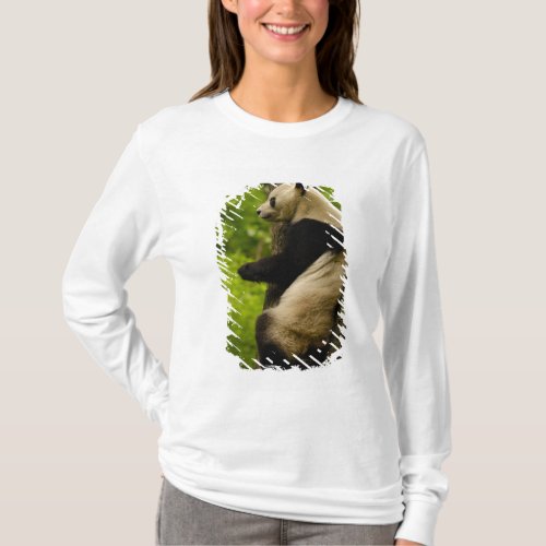 Giant panda Ailuropoda melanoleuca Family T_Shirt