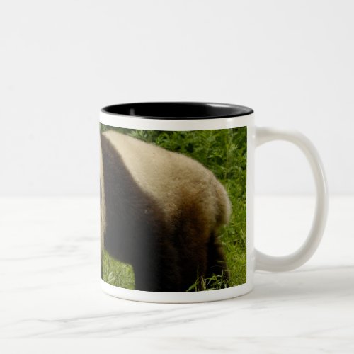 Giant panda Ailuropoda melanoleuca in its Two_Tone Coffee Mug