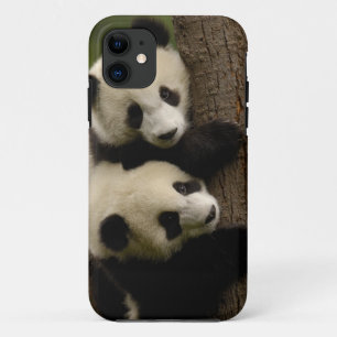 Giant panda babies (Ailuropoda melanoleuca) 2 iPhone 11 Case