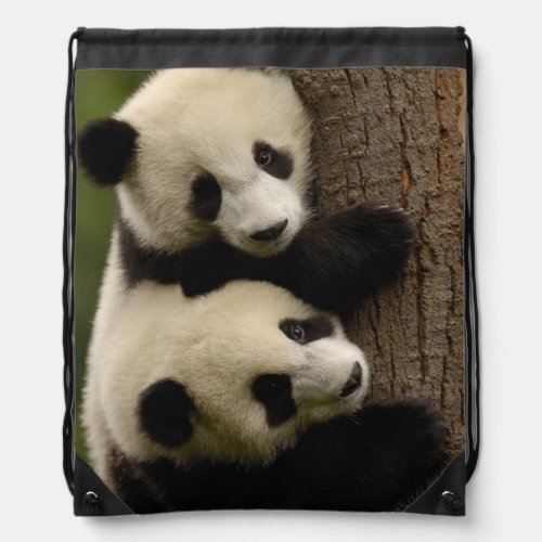 Giant panda babies Ailuropoda melanoleuca 2 Drawstring Bag