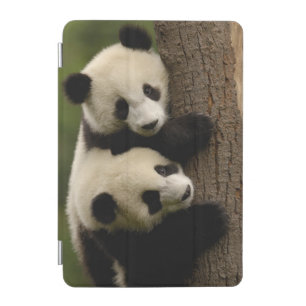Giant panda babies (Ailuropoda melanoleuca) 2 iPad Mini Cover
