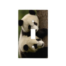 Giant panda babies (Ailuropoda melanoleuca) 2 Light Switch Cover