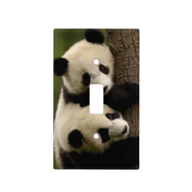Giant panda babies (Ailuropoda melanoleuca) 2 Light Switch Cover (Front)