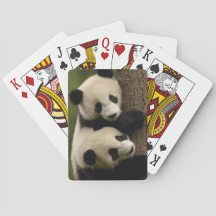 Giant panda babies (Ailuropoda melanoleuca) 2 Poker Cards