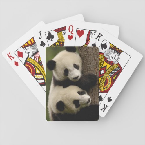 Giant panda babies Ailuropoda melanoleuca 2 Poker Cards