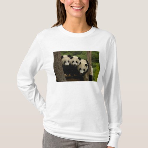 Giant panda babies Ailuropoda melanoleuca 3 T_Shirt