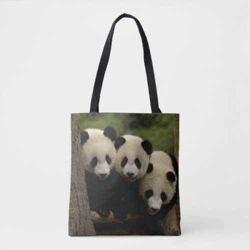 Giant panda babies Ailuropoda melanoleuca 3 Tote Bag