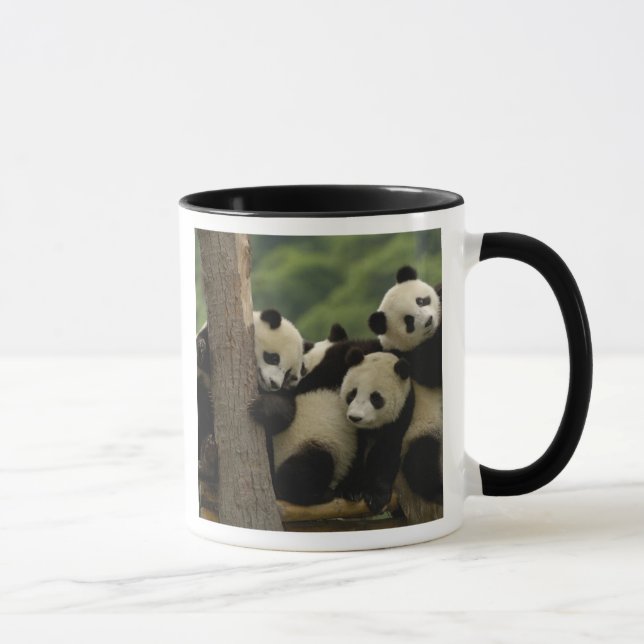 Giant panda babies Ailuropoda melanoleuca) 4 Mug (Right)