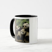 Giant panda babies Ailuropoda melanoleuca) 4 Mug (Front Left)