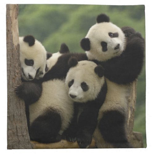 Giant panda babies Ailuropoda melanoleuca 4 Napkin