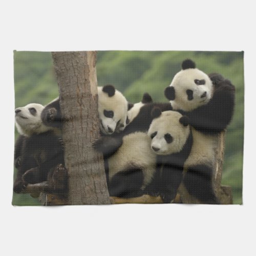 Giant panda babies Ailuropoda melanoleuca 4 Towel