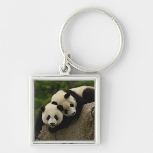 Giant panda babies Ailuropoda melanoleuca 6 Keychain