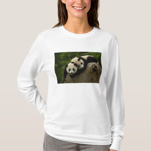 Giant panda babies Ailuropoda melanoleuca 6 T_Shirt