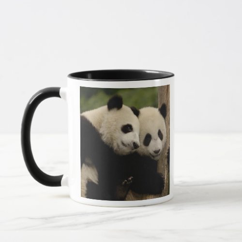 Giant panda babies Ailuropoda melanoleuca 8 Mug