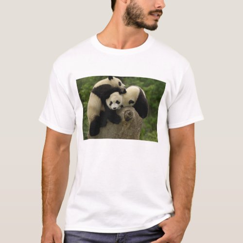 Giant panda babies Ailuropoda melanoleuca 9 T_Shirt