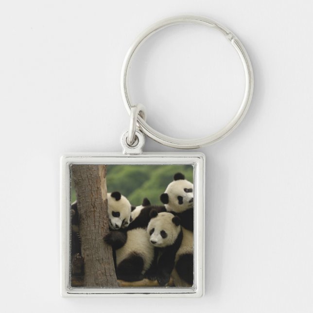 Giant panda babies Ailuropoda melanoleuca) Keychain (Front)
