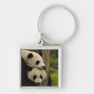 Giant panda babies Ailuropoda melanoleuca) Keychain