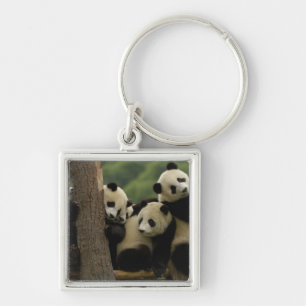 Giant panda babies Ailuropoda melanoleuca) Keychain