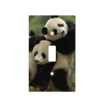 Giant panda babies Ailuropoda melanoleuca) Light Switch Cover