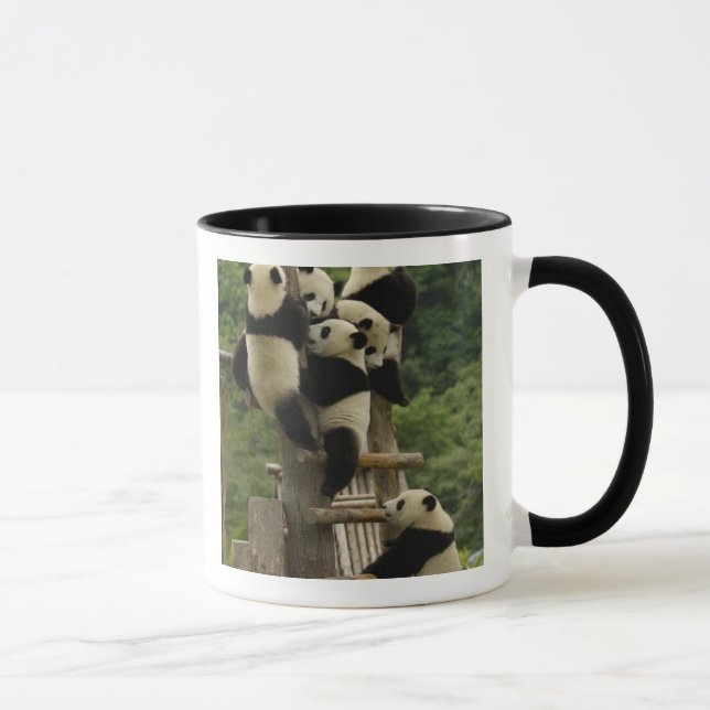 Giant panda babies Ailuropoda melanoleuca) Mug (Right)