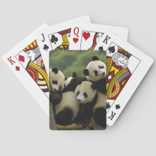 Giant panda babies Ailuropoda melanoleuca) Poker Cards