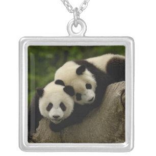 Giant panda babies Ailuropoda melanoleuca) Silver Plated Necklace