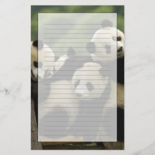 Giant panda babies Ailuropoda melanoleuca) Stationery