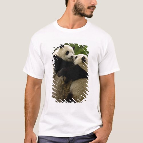 Giant panda babies Ailuropoda melanoleuca T_Shirt