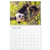 Giant panda babies calendar (Feb 2025)