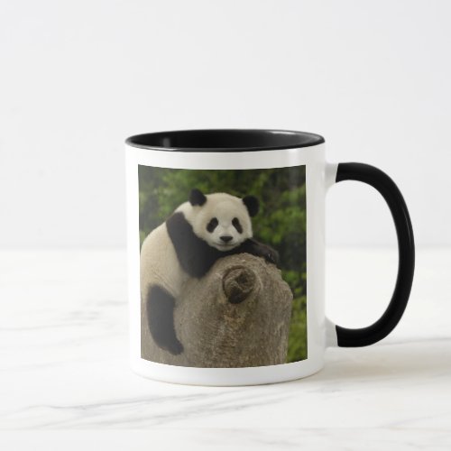 Giant panda baby Ailuropoda melanoleuca 11 Mug