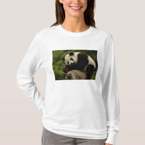 Giant panda baby Ailuropoda melanoleuca 12 T_Shirt