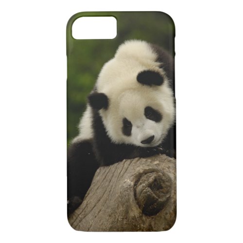 Giant panda baby Ailuropoda melanoleuca 2 iPhone 87 Case