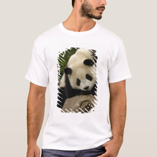 Giant panda baby Ailuropoda melanoleuca 2 T_Shirt