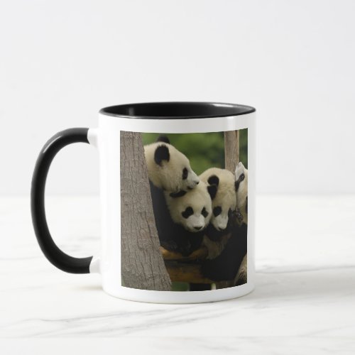 Giant panda baby Ailuropoda melanoleuca 4 Mug