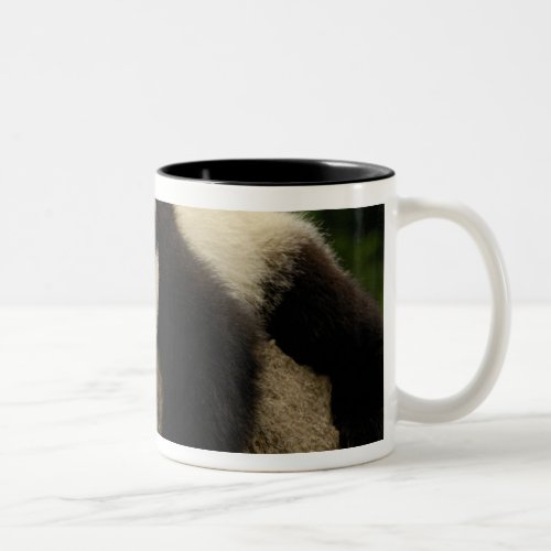 Giant panda baby Ailuropoda melanoleuca 4 Two_Tone Coffee Mug