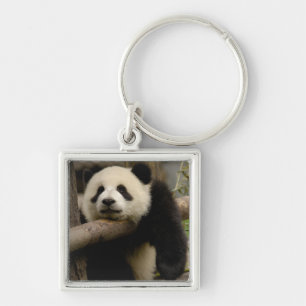 Giant panda baby Ailuropoda melanoleuca) Keychain