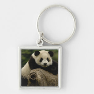 Giant panda baby Ailuropoda melanoleuca) Keychain