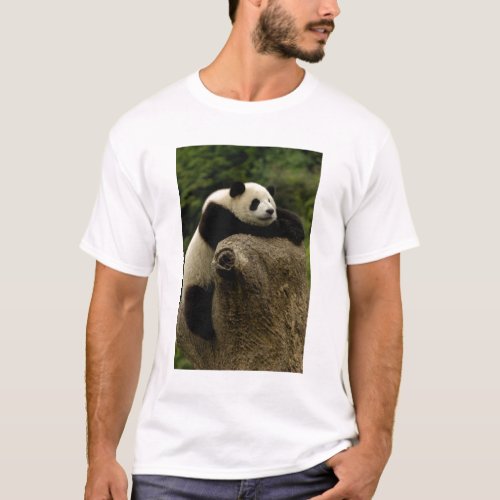 Giant panda baby Ailuropoda melanoleuca T_Shirt