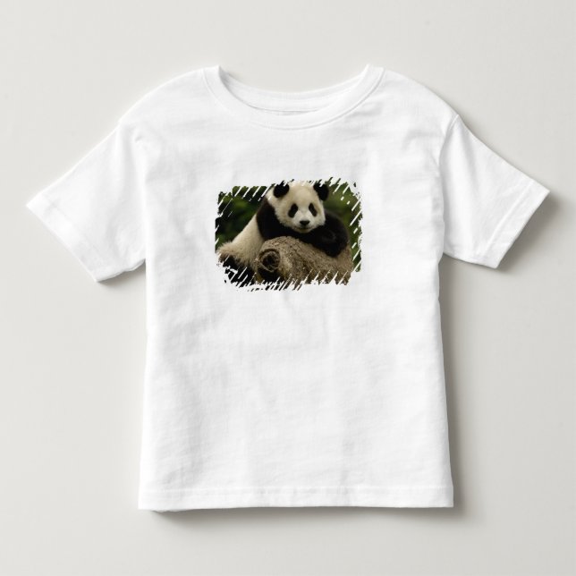 Giant panda baby Ailuropoda melanoleuca) Toddler T-shirt (Front)