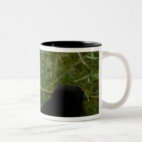 Giant panda baby eating bamboo Ailuropoda Two_Tone Coffee Mug