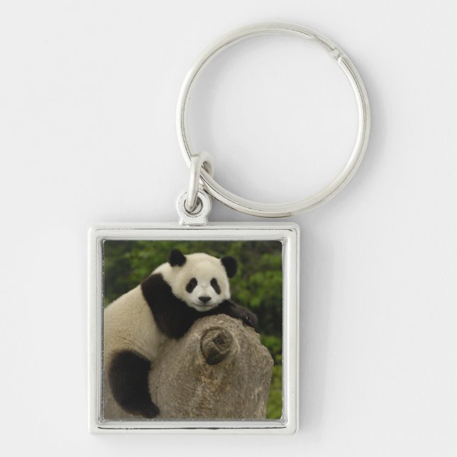Giant panda baby keychain (Front)