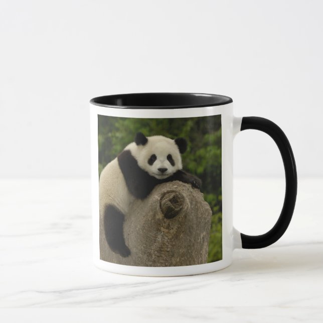 Giant panda baby mug (Right)