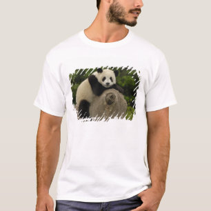 Giant panda baby T-Shirt