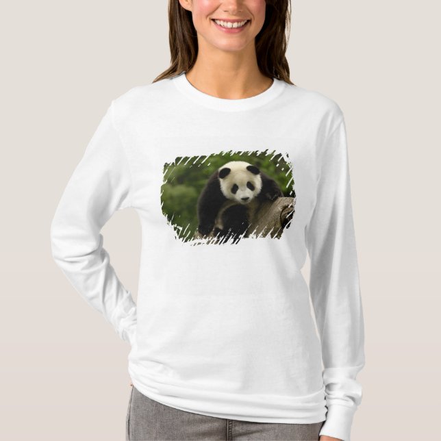Giant panda baby T-Shirt (Front)