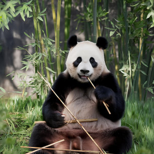 Giant Panda Bamboo Snack Jigsaw Puzzle