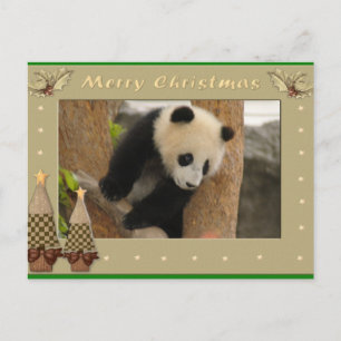 Giant Panda Bear & Baby Panda Christmas Card